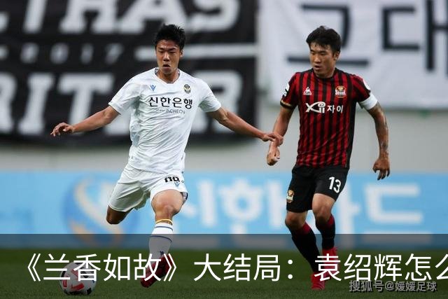 《兰香如故》大结局：袁绍辉怎么也没想到，全剧想要为他报仇的竟是两个林家人