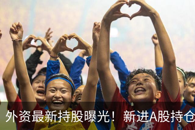 外资最新持股曝光！新进A股持仓数量前十名单来了