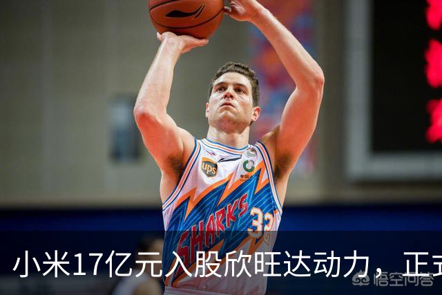 小米17亿元入股欣旺达动力，正式成为第三大股东