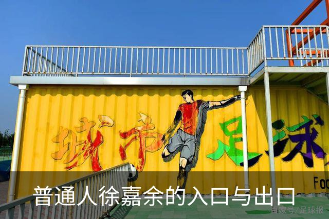普通人徐嘉余的入口与出口