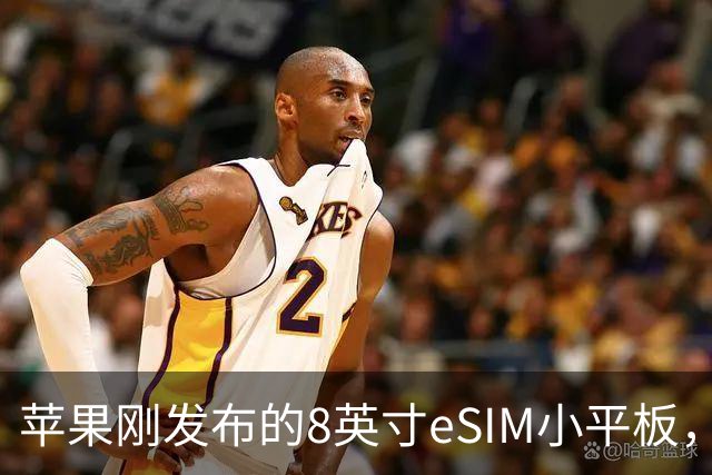 苹果刚发布的8英寸eSIM小平板，这价格是疯了吧