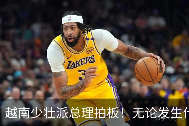 越南少壮派总理拍板！无论发生什么情况，全国4年内一律严禁停电